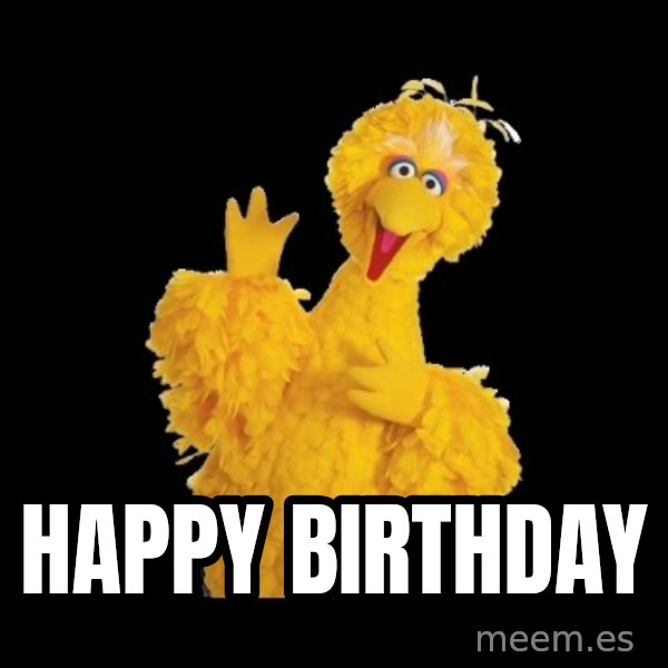 BIG BIRD meme meme: happy birthday