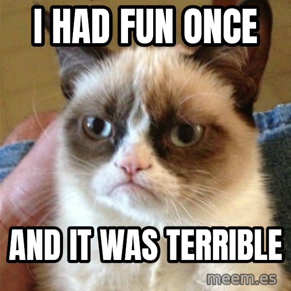 Grumpy Cat  meme: I had fun once / and it was terrible