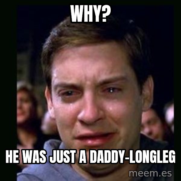 crying peter parker meme: WHY? / He was just a daddy-longleg