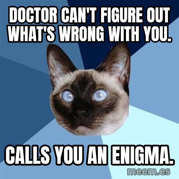 Chronic Illness Cat meme: Doctor can't figure out what's wrong with you. / Calls you an enigma.