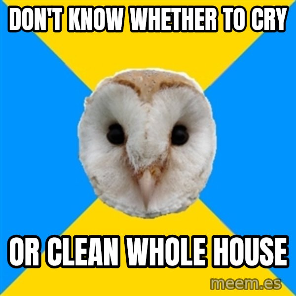 Bipolar Owl meme: Don't know whether to cry / or clean whole house