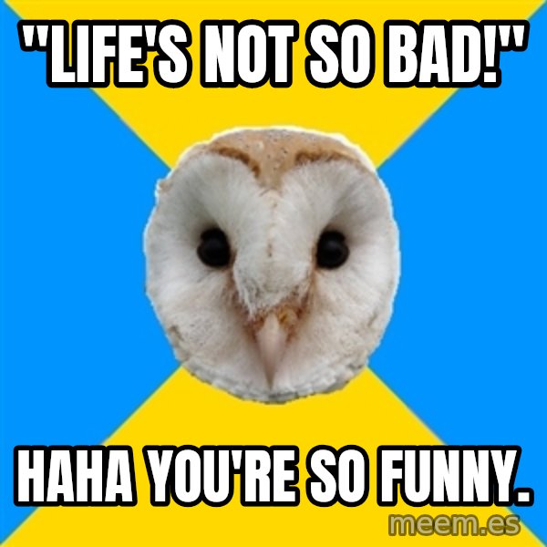 Bipolar Owl meme: "life's not so bad!" / haha you're so funny.
