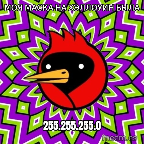 Omsk Crow meme: Моя маска на хэллоуин была / 255.255.255.0