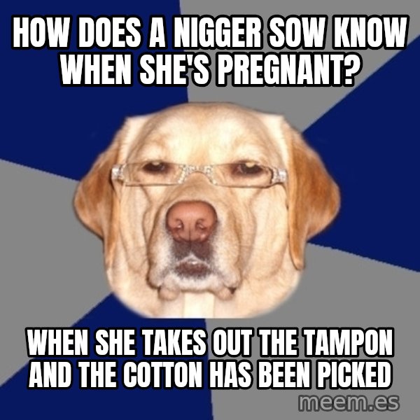 Racist Dawg meme: How does a nigger sow know when she's pregnant? / When she takes out the tampon and the cotton has been picked