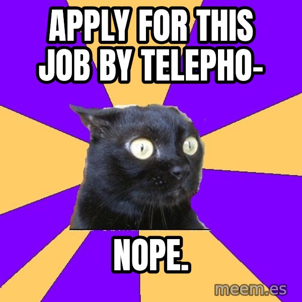 Anxiety Cat meme: apply for this job by telepho- / nope.