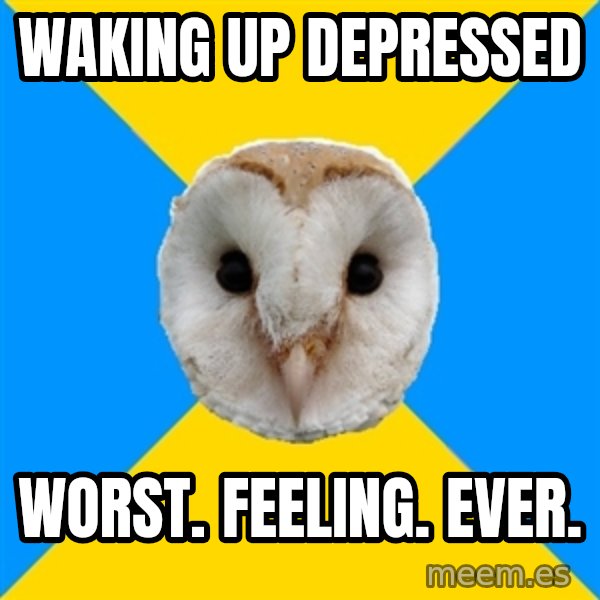 Bipolar Owl meme: waking up depressed / worst. feeling. ever.