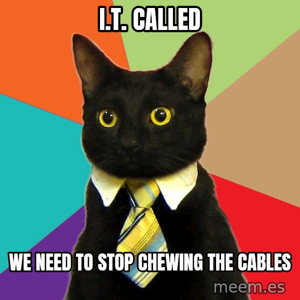 Business Cat meme: I.T. Called / we need to stop chewing the cables