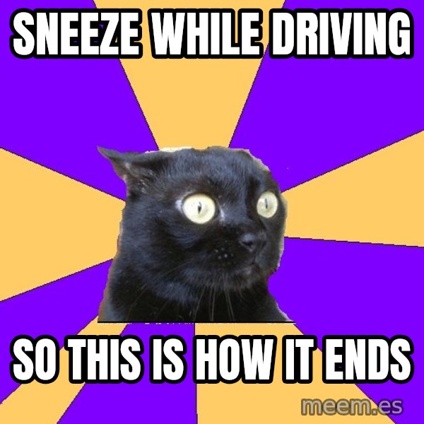 Anxiety Cat meme: Sneeze while Driving / So this is how it ends