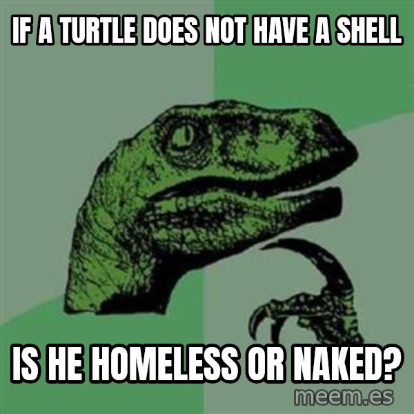 Philosoraptor meme: If a turtle does not have a shell / IS HE HOMELESS OR NAKED?