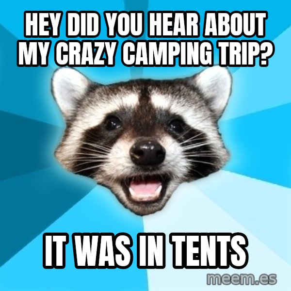 Lame Pun Coon meme: hey did you hear about my crazy camping trip? / it was in tents