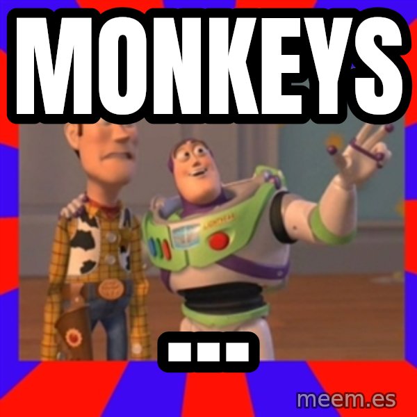 X, X Everywhere  meme: Monkeys / ...
