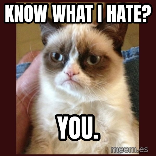 Grumpy Cat  meme: KNow what I hate? / You.