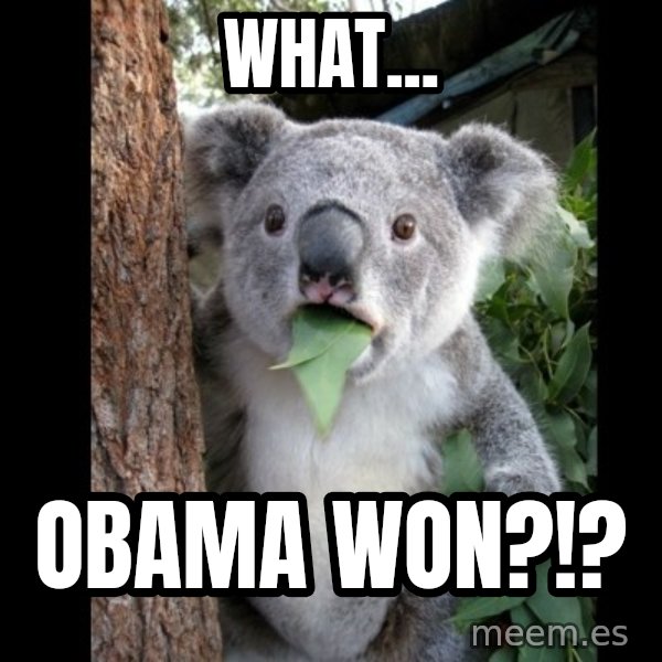 Koala can't believe it meme: What... / Obama won?!?