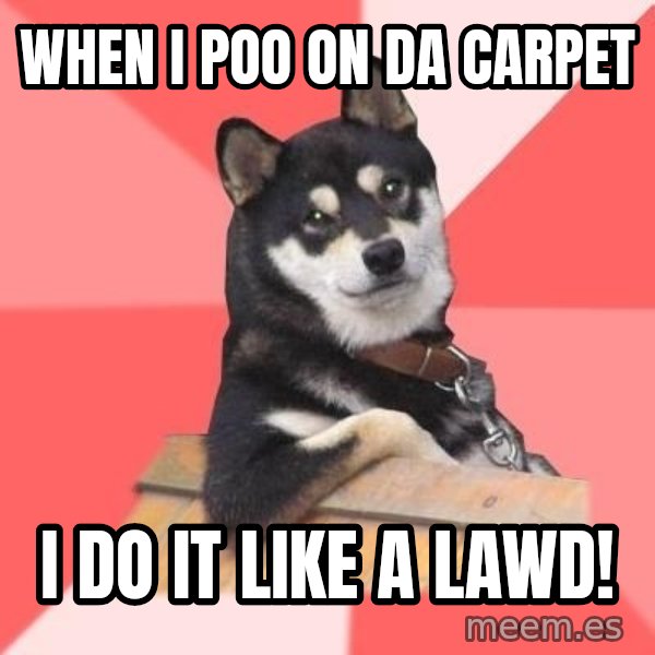 Cool Dog meme: when i poo on da carpet / i do it like a lawd!