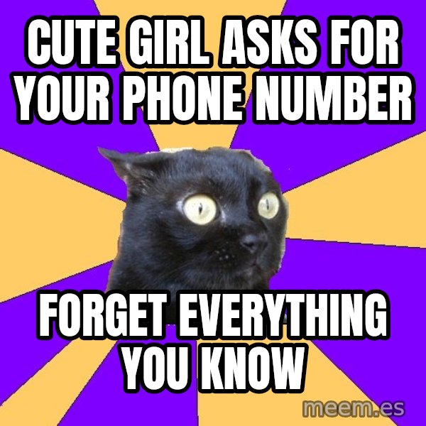 Anxiety Cat meme: Cute girl asks for your phone number / forget everything     you know