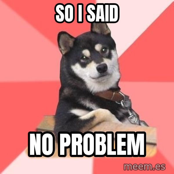 Cool Dog meme: so I said / NO PROBLEM