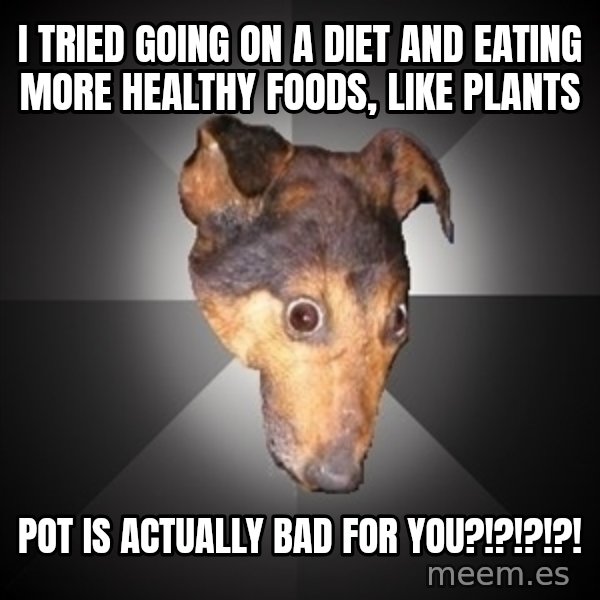 Depression Dog meme: I TRIED GOING ON A DIET AND EATING MORE HEALTHY FOODS, LIKE PLANTS / POT IS ACTUALLY BAD FOR YOU?!?!?!?!