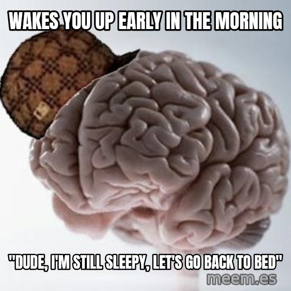 Scumbag Brain meme: wakes you up early in the morning / "Dude, I'm still sleepy, let's go back to bed"