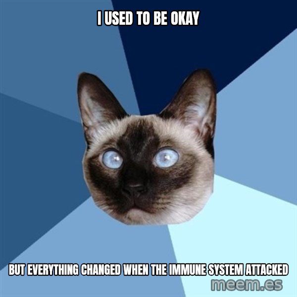 Chronic Illness Cat meme: I USED TO BE OKAY / BUT EVERYTHING CHANGED WHEN THE IMMUNE SYSTEM ATTACKED