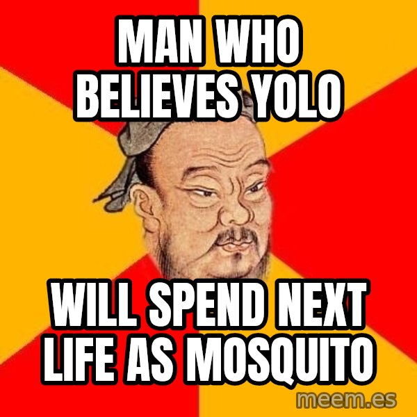Wise Confucius meme: Man who believes YOLO / will spend next life as mosquito