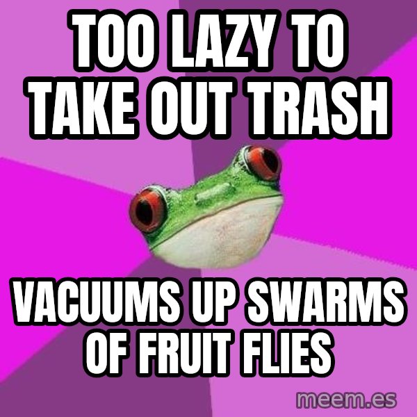 Foul Bachelorette Frog meme: too lazy to take out trash / vacuums up swarms of fruit flies