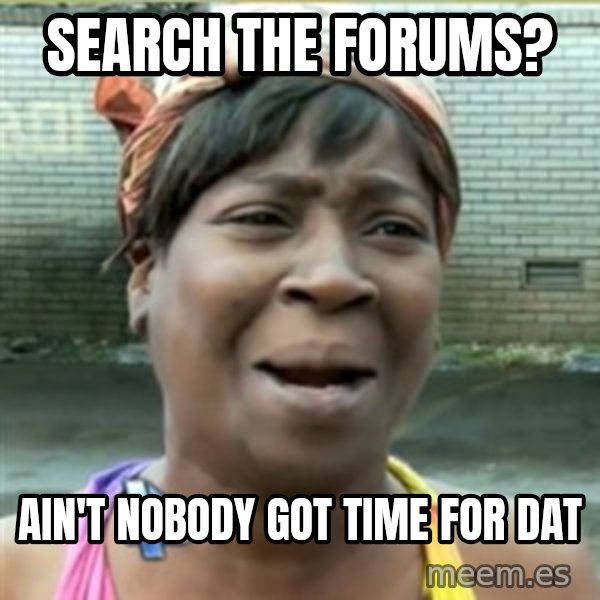 Ain't Nobody got time fo that meme: search the forums? / ain't nobody got time for dat