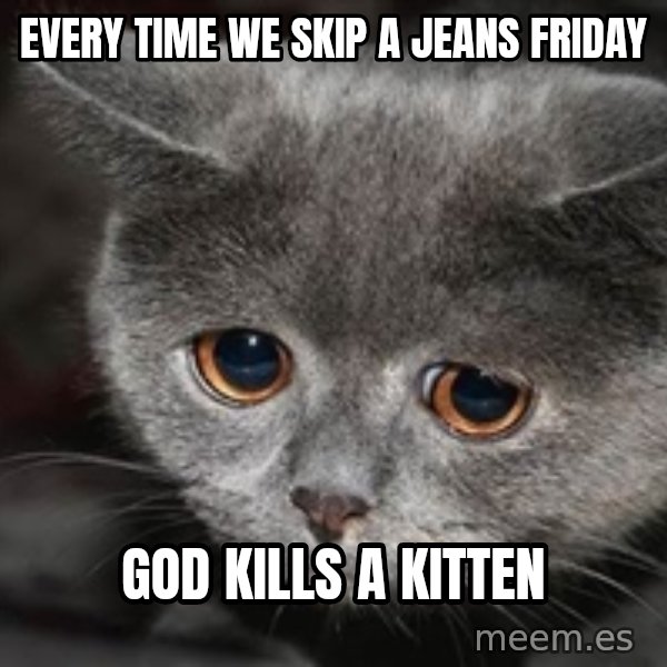 Sadcat meme: Every time we skip a jeans friday / god kills a kitten
