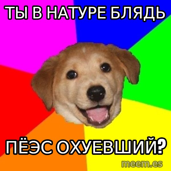 Advice Dog meme: Ты в натуре блядь / пЁэс охуевший?