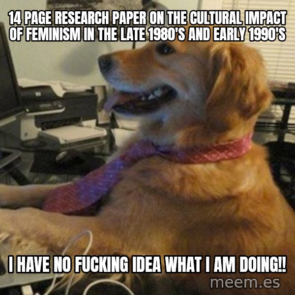I have no idea what I'm doing - Dog with Tie meme: 14 page research paper on the cultural impact of feminism in the late 1980's and early 1990's / i have no fucking idea what i am doing!!