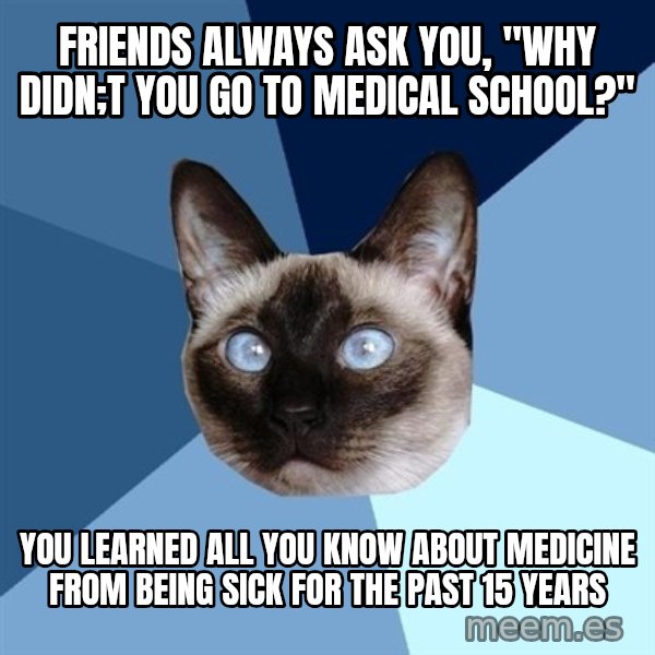 Chronic Illness Cat meme: Friends always ask you, "Why didn;t you go to Medical School?" / You learned all you know about medicine from being sick for the past 15 years