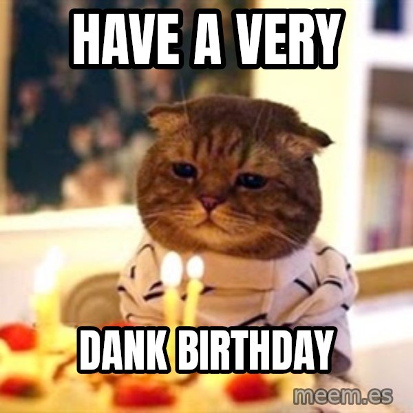 Birthday Cat meme: have a VERY / DANK BIRTHDAY