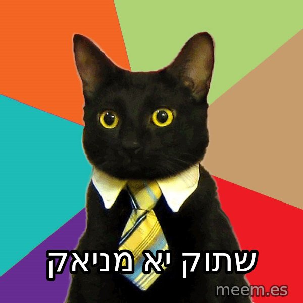 Business Cat meme: שתוק יא מניאק