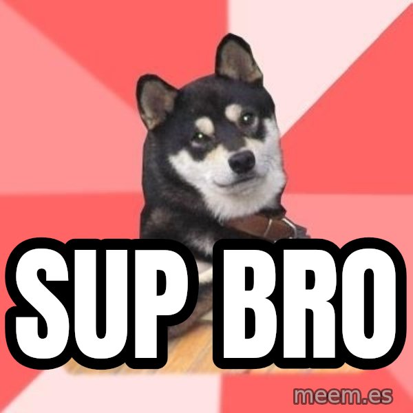 Cool Dog meme: sup bro