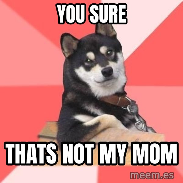 Cool Dog meme: you sure / thats not my mom