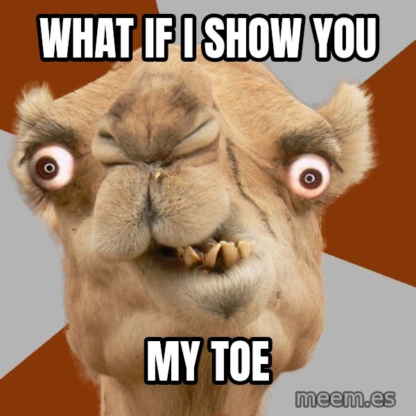 Crazy Camel lol meme: what if i show you / my toe