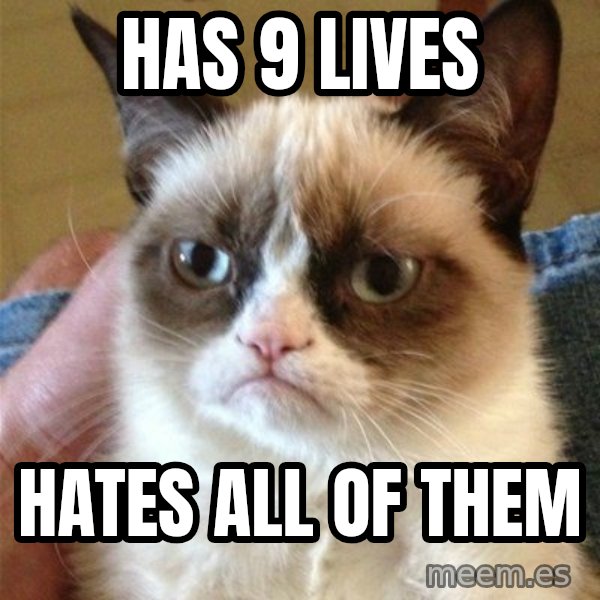 Grumpy Cat  meme: HAS 9 LIVES / HATES ALL OF THEM