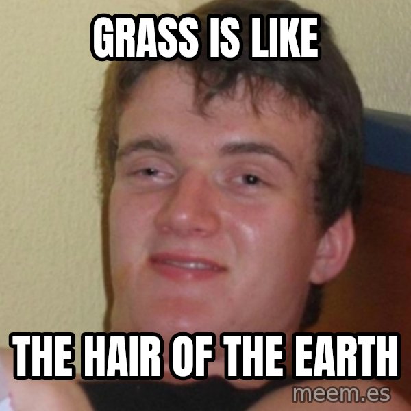 Stoner Stanley meme: GRASS IS LIKE / THE HAIR OF THE EARTH