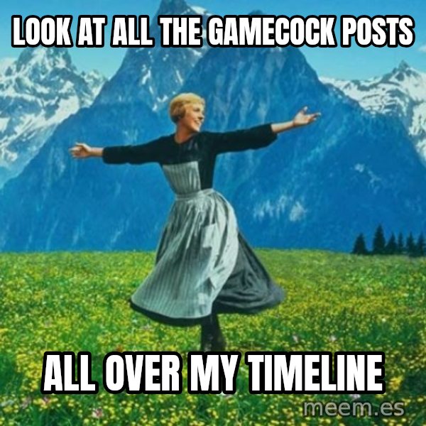 Look at All the Fucks I Give meme: look at all the gamecock posts / all over my timeline