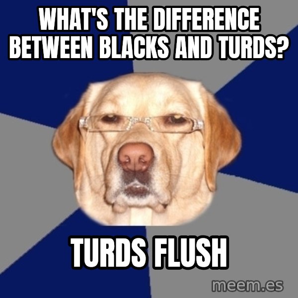 Racist Dawg meme: what's the difference between blacks and turds? / turds flush