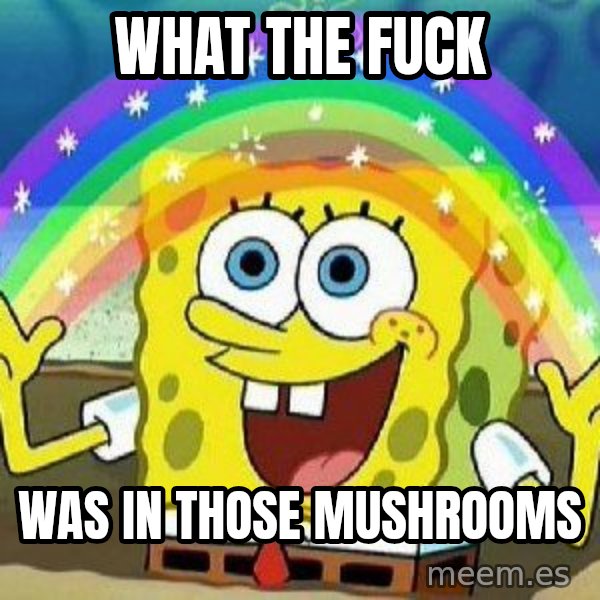 Imagination meme: what the fuck / was in those mushrooms