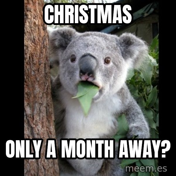Koala can't believe it meme: christmas / only a month away?