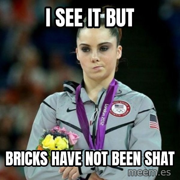 McKayla Maroney Not Impressed meme: i see it but / bricks have not been shat