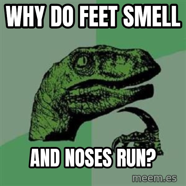 Philosoraptor meme: Why do feet smell / And noses run?