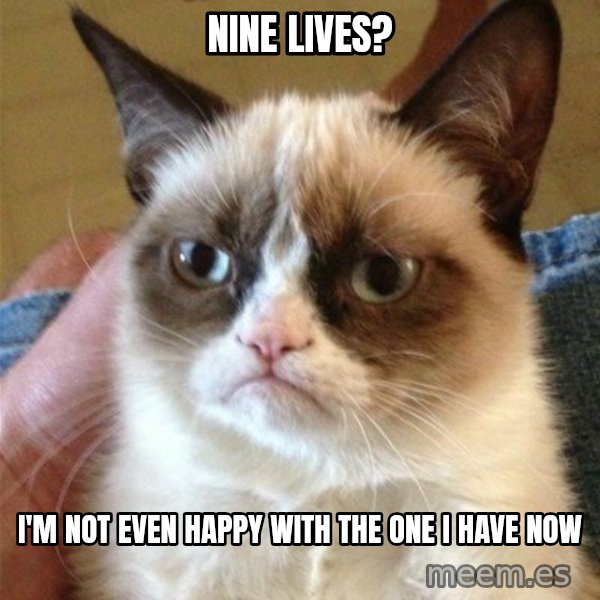 Grumpy Cat  meme: nine lives? / I'm not even happy with the one i have now