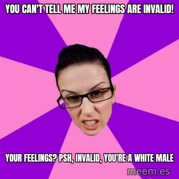 Privilege Denying Feminist meme: you can't tell me my feelings are invalid! / your feelings? psh, invalid, you're a white male