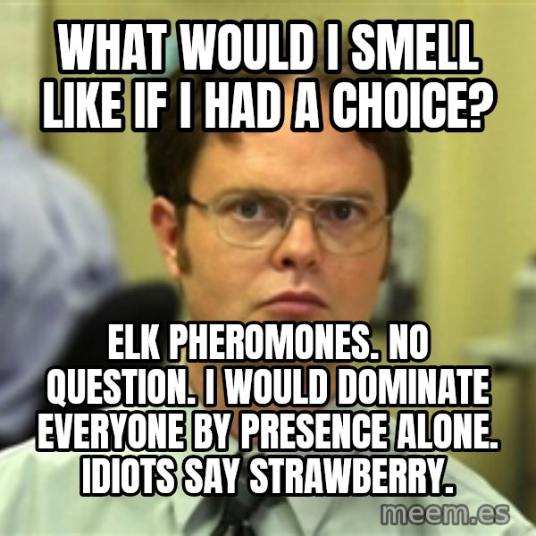 Dwight Schrute meme: what would i smell like if I had a choice? / Elk pheromones.  No question.  I would dominate everyone by presence alone. idiots say strawberry.