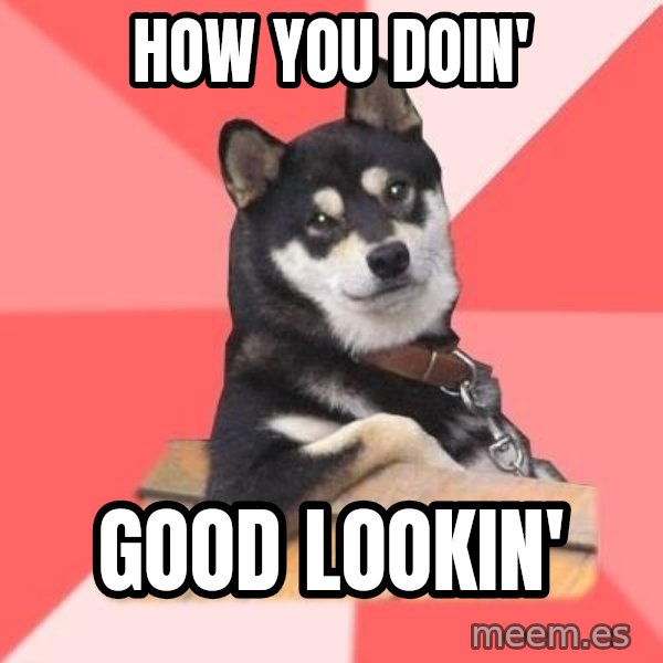 Cool Dog meme: HOW YOU DOIN' / GOOD LOOKIN'