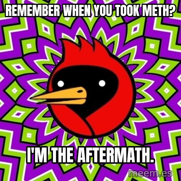 Omsk Crow meme: Remember when you took meth? / I'm the aftermath.