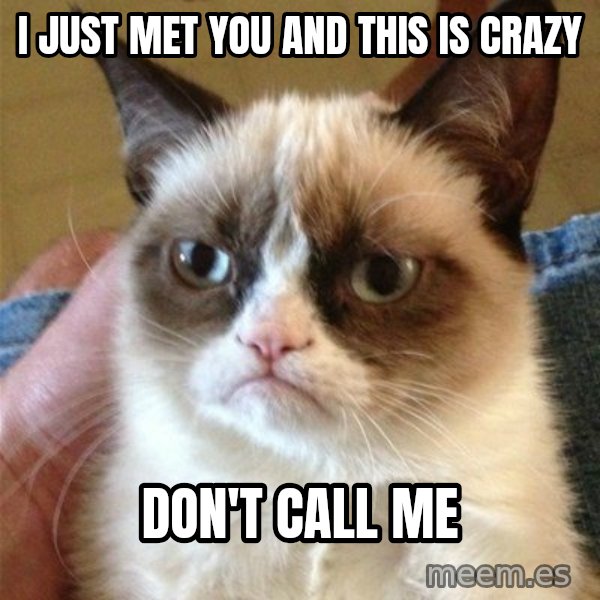 Grumpy Cat  meme: I just met you and this is crazy / Don't call me