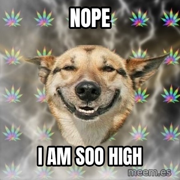 Stoner Dog meme: NOPE / I AM SOO HIGH